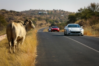 The Prancing Horse is taking its first steps in Namibia / Image: Copyright Ferrari